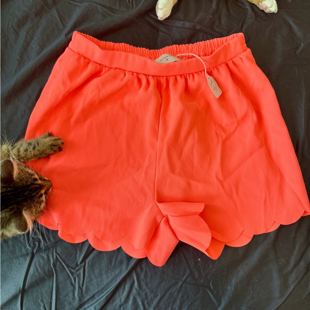 Everly Coral Shorts